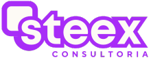 Steex Consultoria
